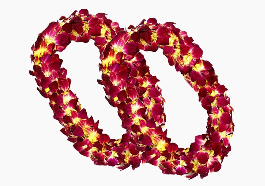 Leis